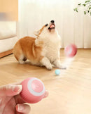 Electric Dog Ball Toys Auto Rolling Smart Dog Toys for Dogs Training Self-Moving Pet Puppy Toys Indoor Interactive Playi Supply